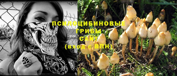 прущие грибы Алексин