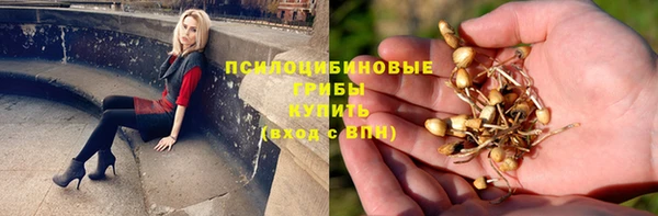 прущие грибы Алексин