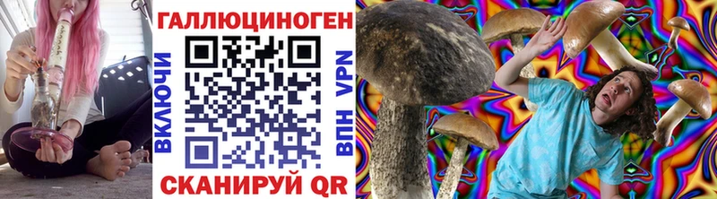 Галлюциногенные грибы Cubensis  дарк нет телеграм  Топки 