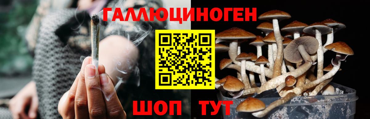 Топки  Псилоцибиновые грибы GOLDEN TEACHER  Вход с VPN 